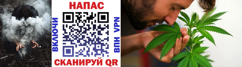 Бошки Шишки конопля  Оренбург 